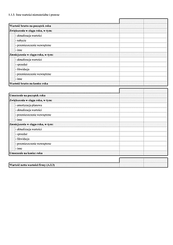 SF_NO_IWNP Noty objaśniające - Inne wartości niematerialne i prawne