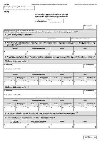 PIT/B (22) (2025) Informacja o wysokości dochodu (straty) z pozarolniczej działalności gospodarczej